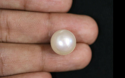 Pearl - SSP 8602 (Origin - South Sea) Prime - Quality