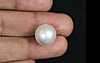 Pearl - SSP 8603 (Origin - South Sea) Prime - Quality