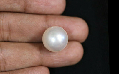 Pearl - SSP 8604 (Origin - South Sea) Prime - Quality