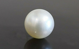 Pearl - SSP 8604 (Origin - South Sea) Prime - Quality