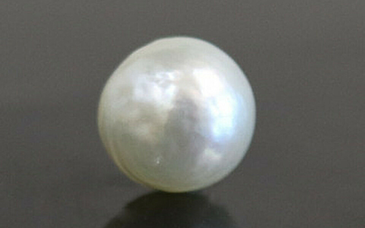 Pearl - SSP 8606 (Origin - Keshi) Prime - Quality