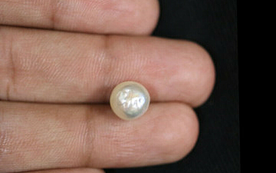 Pearl - SSP 8612 (Origin - Keshi) Limited - Quality