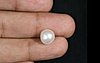 Pearl - SSP 8614 (Origin - Keshi) LImited - Quality