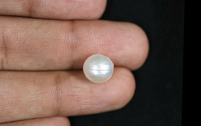 Pearl - SSP 8616 (Origin - Keshi) LImited - Quality