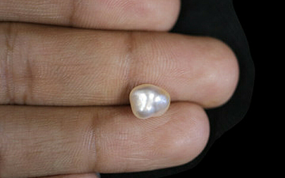 Pearl - SSP 8624 (Origin - Keshi) LImited - Quality