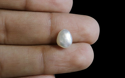 Pearl - SSP 8628 (Origin - Venezuela) Limited - Quality