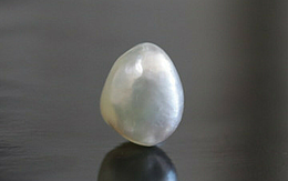 Pearl - SSP 8628 (Origin - Venezuela) Limited - Quality