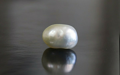 Pearl - SSP 8631 (Origin - Venezuela) Limited - Quality