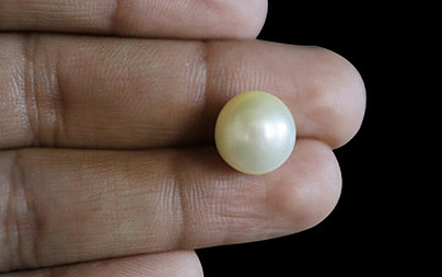 Pearl - SSP 8639 (Origin - South See) Prime - Quality