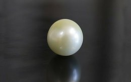 Pearl - SSP 8639 (Origin - South See) Prime - Quality