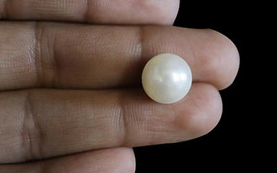 Pearl - SSP 8640 (Origin - South See) Prime - Quality