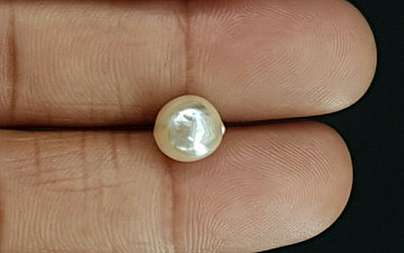 Pearl - SSP 8643 Prime - Quality 3.91 - Carat