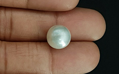 Pearl - SSP 8654 Prime - Quality 10.11- Carat