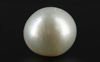 Pearl - SSP 8654 Prime - Quality 10.11- Carat