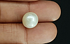 Pearl - SSP 8656 Prime - Quality 10.79- Carat