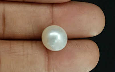 Pearl - SSP 8658 Prime - Quality 9.77- Carat