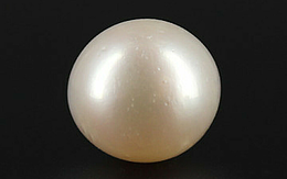 Pearl - SSP 8658 Prime - Quality 9.77- Carat