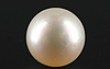 Pearl - SSP 8659 Prime - Quality 9.64 - Carat