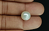 Pearl - SSP 8661 Prime - Quality 8.78- Carat