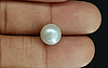 Pearl - SSP 8662 Prime - Quality 6.38 - Carat