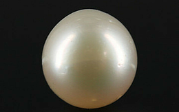 Pearl - SSP 8664 Prime - Quality 8.51 - Carat