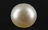 Pearl - SSP 8665 Prime - Quality 5.76 - Carat