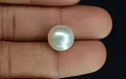 Pearl - SSP 8684 Limited - Quality 9.61- Carat