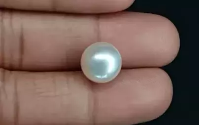 Pearl - SSP 8686 Limited - Quality 9.21- Carat