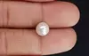 Pearl - SSP 8692 Prime - Quality 3.73 - Carat