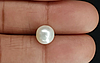 Pearl - SSP 8696 Prime - Quality 4.71 - Carat