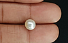 Pearl - SSP 8700 Prime - Quality 3.84 - Carat