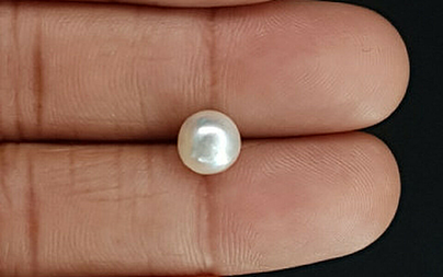 Pearl - SSP 8702 Prime - Quality 3.13 - Carat