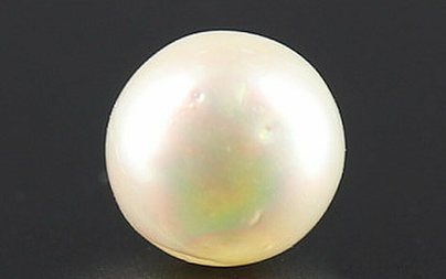 Pearl - SSP 8703 Prime - Quality 4.81 - Carat