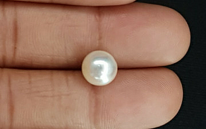 Pearl - SSP 8703 Prime - Quality 4.81 - Carat