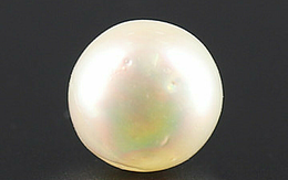 Pearl - SSP 8703 Prime - Quality 4.81 - Carat