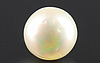 Pearl - SSP 8703 Prime - Quality 4.81 - Carat