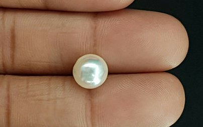 Pearl - SSP 8705 Prime - Quality 4.94 - Carat