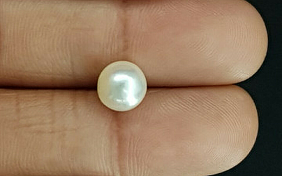 Pearl - SSP 8706 Prime - Quality 3.97 - Carat