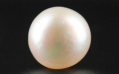 Pearl - SSP 8708 Prime - Quality 4.28 - Carat