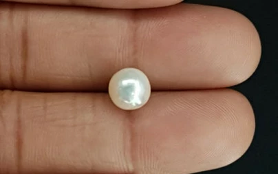 Pearl - SSP 8719 Prime - Quality 3.59 - Carat