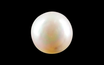 Pearl - SSP 8719 Prime - Quality 3.59 - Carat