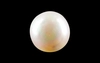 Pearl - SSP 8719 Prime - Quality 3.59 - Carat