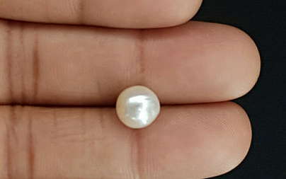 Pearl - SSP 8720 Prime - Quality 4.25 - Carat