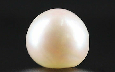 Pearl - SSP 8720 Prime - Quality 4.25 - Carat