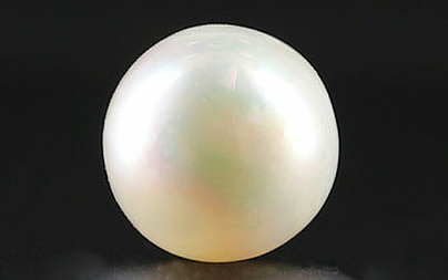 Pearl - SSP 8724 Prime - Quality 4.73 - Carat