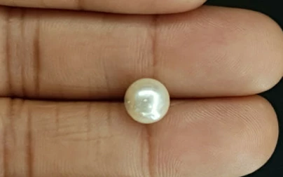 Pearl - SSP 8725 Prime - Quality 3.83 - Carat