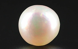 Pearl - SSP 8727 Prime - Quality 4.55 - Carat