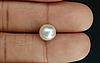 Pearl - SSP 8728 Prime - Quality 4.54 - Carat