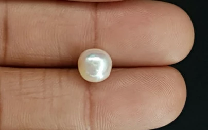 Pearl - SSP 8729 Prime - Quality 3.69 - Carat