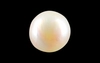 Pearl - SSP 8729 Prime - Quality 3.69 - Carat